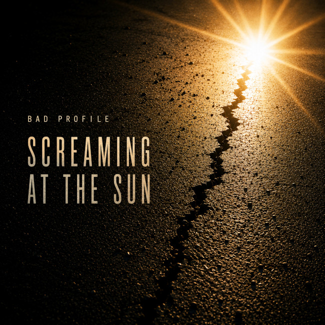 Bad Profile - Screaming at the Sun